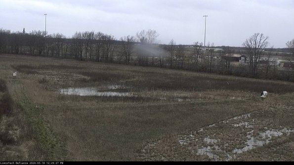 Cell 2_24-03-18_12-29-28-17