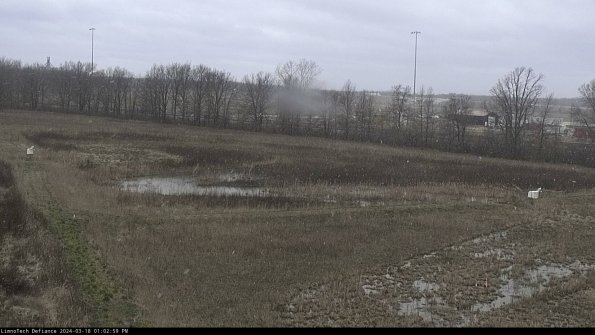 Cell 2_24-03-18_13-03-00-22