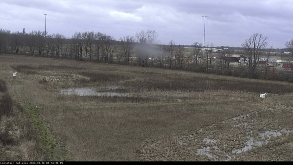 Cell 2_24-03-18_13-36-31-17