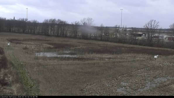 Cell 2_24-03-18_14-10-01-15