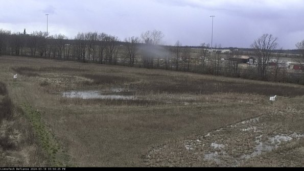 Cell 2_24-03-18_15-50-26-26