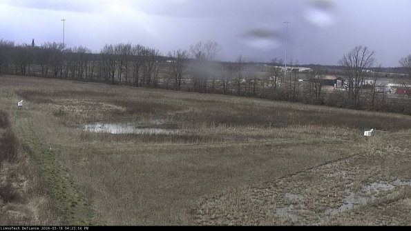 Cell 2_24-03-18_16-23-57-17