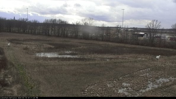 Cell 2_24-03-18_19-11-24-17