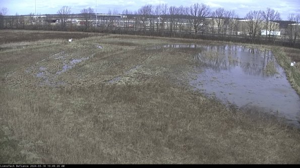 Cell 3_24-03-18_10-49-27-15