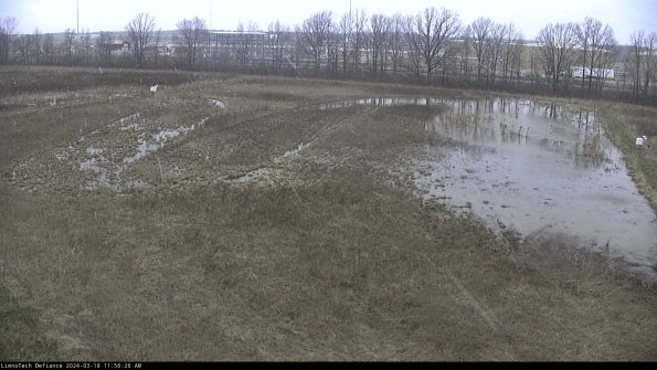 Cell 3_24-03-18_11-56-27-15