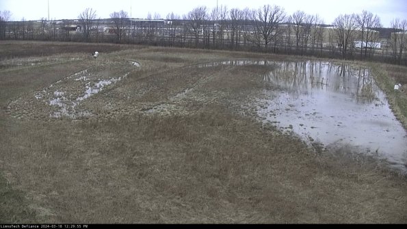 Cell 3_24-03-18_12-29-56-17