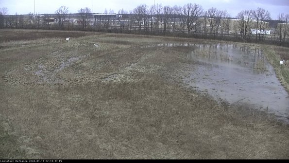 Cell 3_24-03-18_14-10-28-38