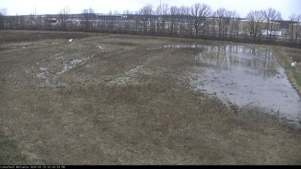 Cell 3_24-03-18_14-43-57-16