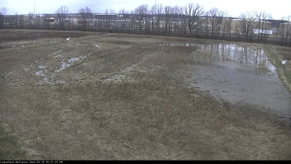 Cell 3_24-03-18_17-31-24-13