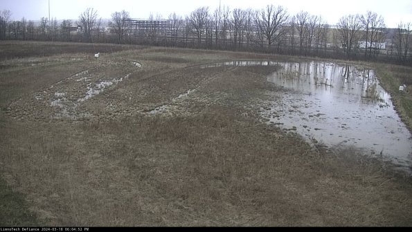 Cell 3_24-03-18_18-04-53-41