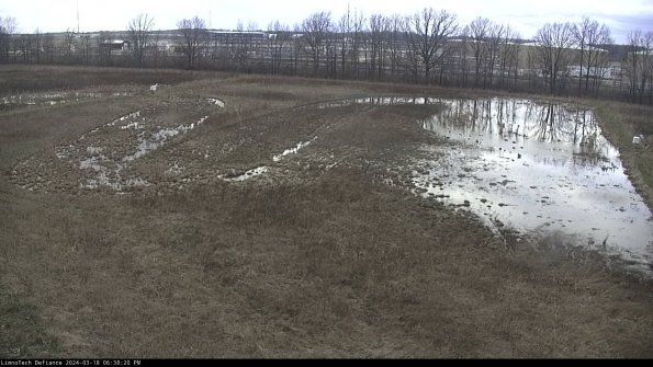 Cell 3_24-03-18_18-38-21-42