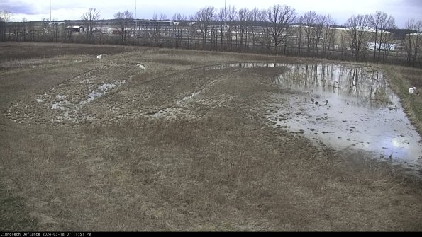 Cell 3_24-03-18_19-11-52-13