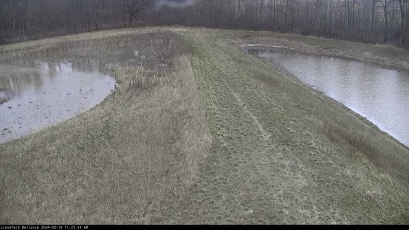 Cell 4 to Basin_24-03-18_11-23-55-13