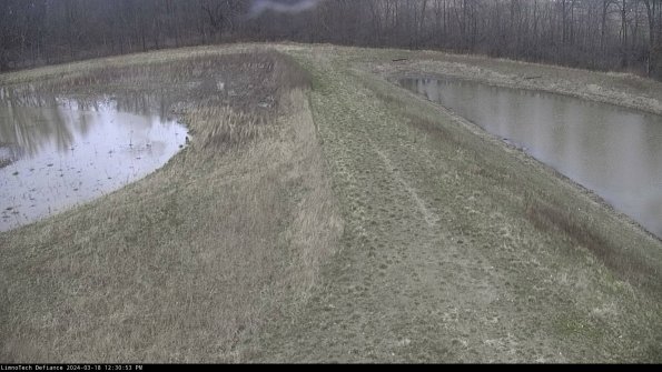 Cell 4 to Basin_24-03-18_12-30-54-16