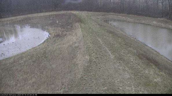 Cell 4 to Basin_24-03-18_13-04-26-17