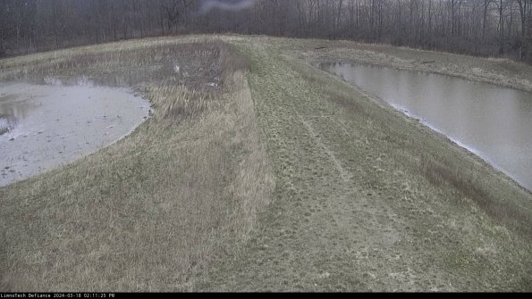 Cell 4 to Basin_24-03-18_14-11-26-13