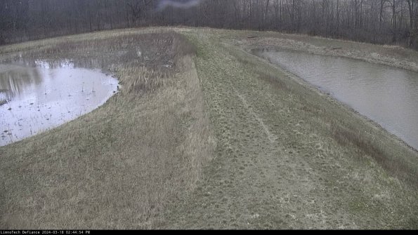 Cell 4 to Basin_24-03-18_14-44-55-15