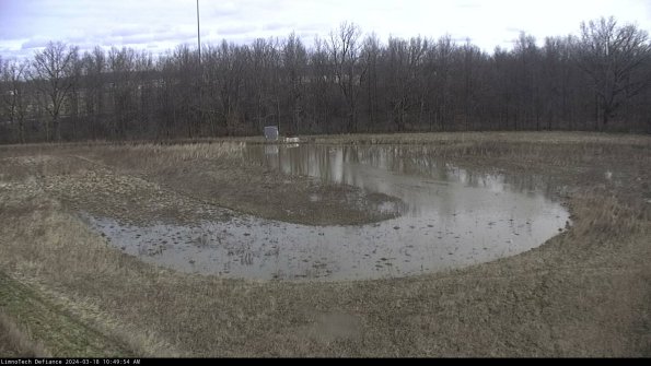 Cell 4_24-03-18_10-49-55-15