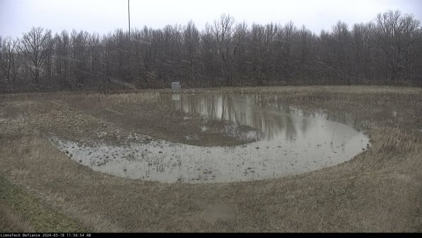 Cell 4_24-03-18_11-56-55-15