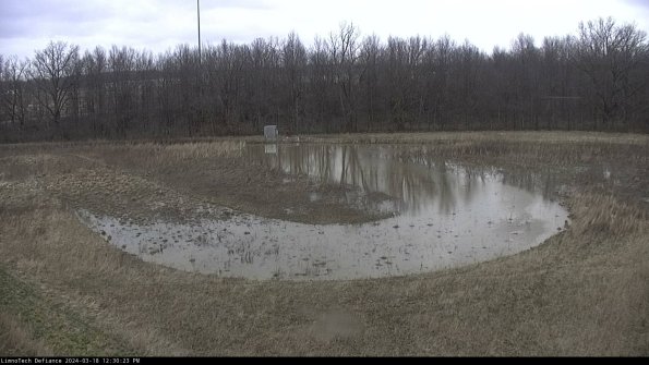 Cell 4_24-03-18_12-30-24-16