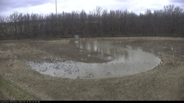 Cell 4_24-03-18_14-10-56-14