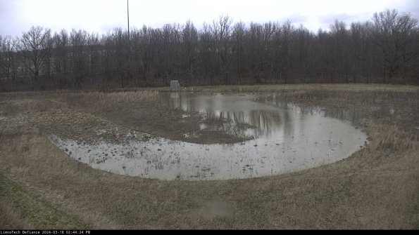 Cell 4_24-03-18_14-44-25-15