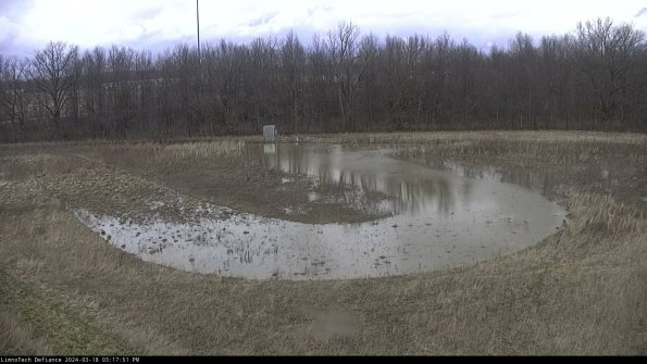 Cell 4_24-03-18_15-17-52-13