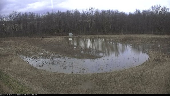 Cell 4_24-03-18_16-24-53-16