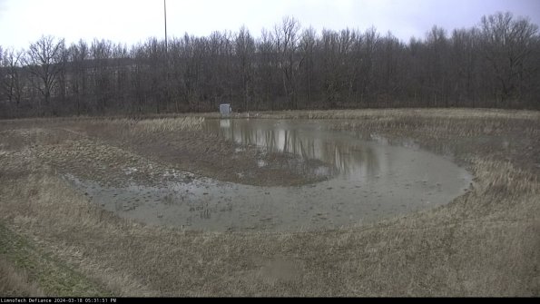 Cell 4_24-03-18_17-31-52-16