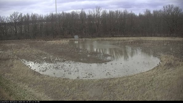 Cell 4_24-03-18_19-12-20-16