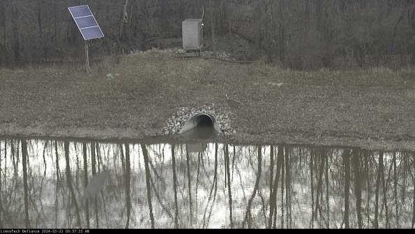 Basin Inflow_24-03-22_09-37-33-50