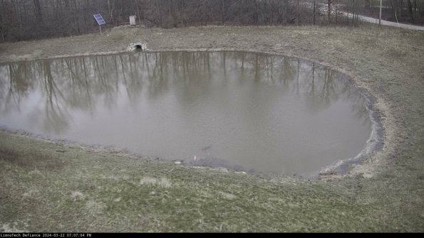 Basin Right_24-03-22_19-07-05-33