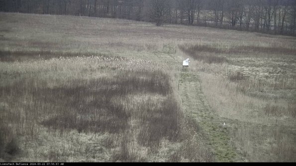 Cell 1 to 2_24-03-22_07-55-02-31