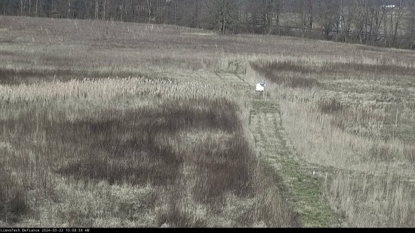 Cell 1 to 2_24-03-22_10-08-57-32