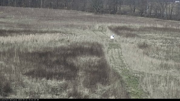 Cell 1 to 2_24-03-22_10-42-25-31