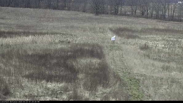 Cell 1 to 2_24-03-22_13-29-50-32