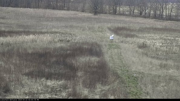 Cell 1 to 2_24-03-22_14-03-19-30