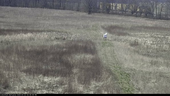 Cell 1 to 2_24-03-22_14-36-49-32