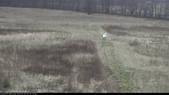 Cell 1 to 2_24-03-22_15-10-17-30