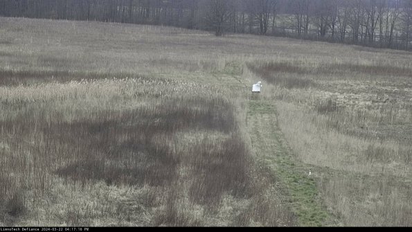 Cell 1 to 2_24-03-22_16-17-17-31