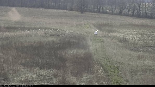 Cell 1 to 2_24-03-22_17-24-15-30