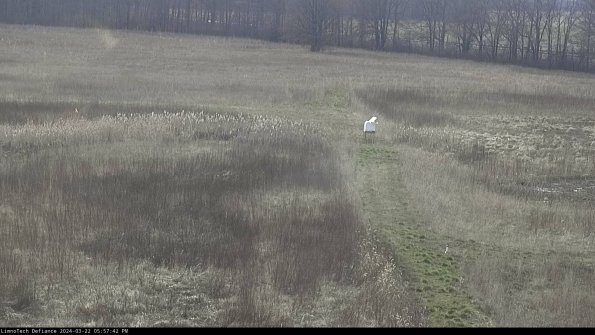 Cell 1 to 2_24-03-22_17-57-43-32