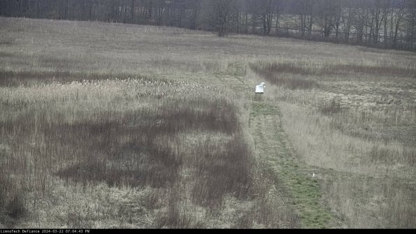 Cell 1 to 2_24-03-22_19-04-44-29