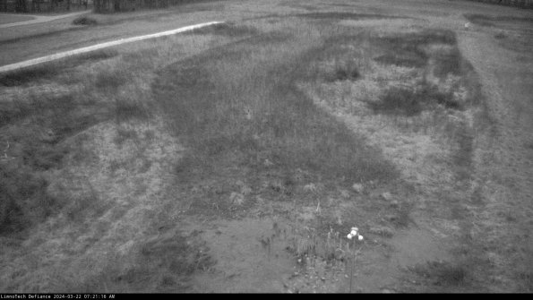 Cell 1_24-03-22_07-21-17-32