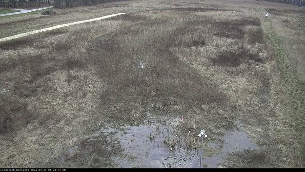 Cell 1_24-03-22_08-28-18-31