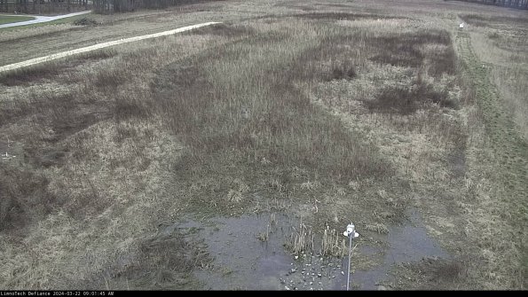 Cell 1_24-03-22_09-01-46-32