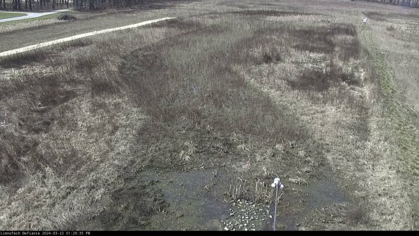 Cell 1_24-03-22_13-29-36-34