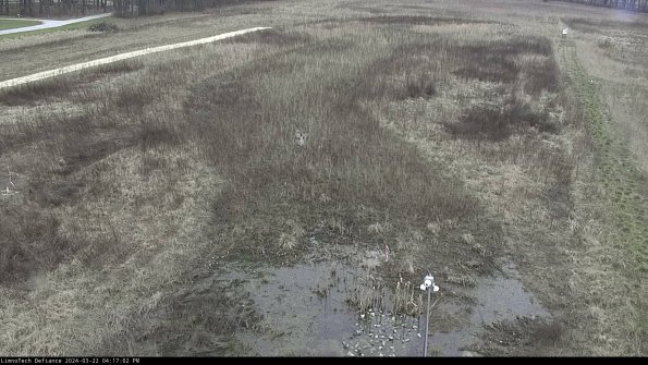 Cell 1_24-03-22_16-17-03-32