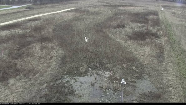 Cell 1_24-03-22_16-50-31-31