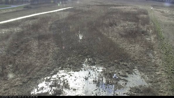 Cell 1_24-03-22_17-24-01-32